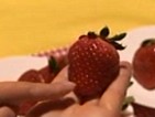 イチゴその1